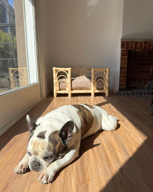 Funda de Colchón para Perro - CORDEROY